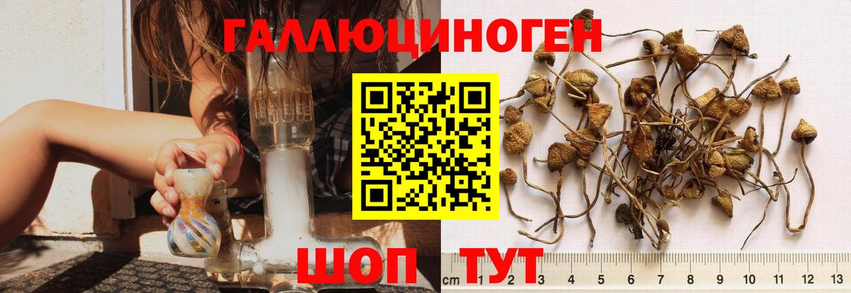 Псилоцибиновые грибы мухоморы  Галлюциногенные грибы MAGIC MUSHROOMS  Вход с VPN  купить закладку  Магнитогорск 